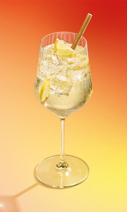 St.-Germain Spritz mit Holunderblütenlikör und Prosecco